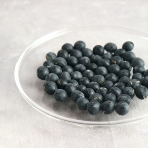 丹波篠山　有機丹波黒豆茶