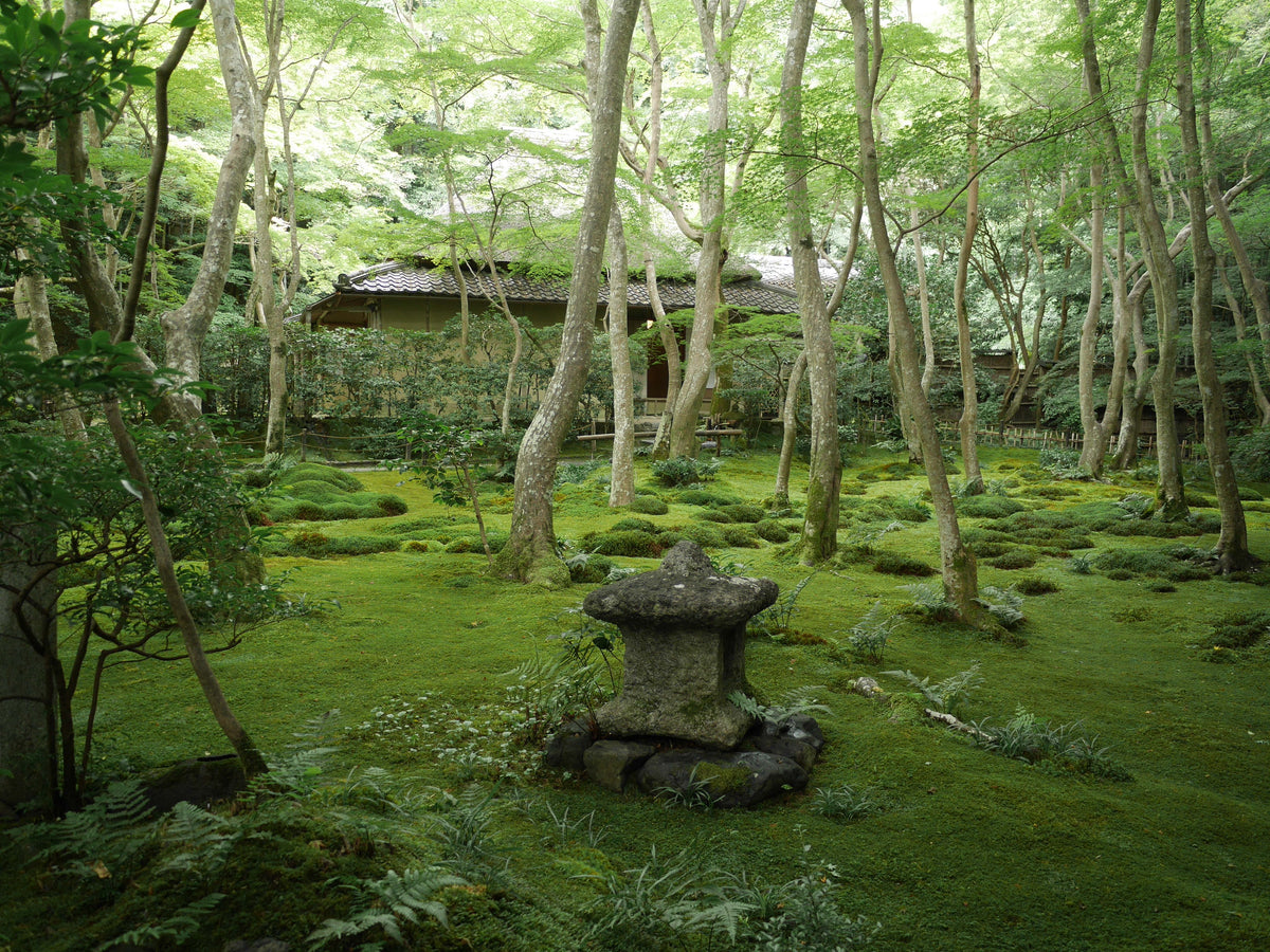 煌景－Kirakage－ 平皿