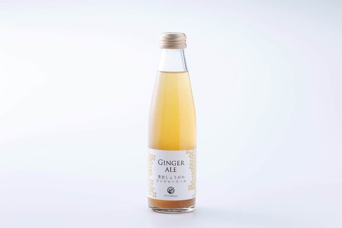黄金しょうがのジンジャーエール 195ml